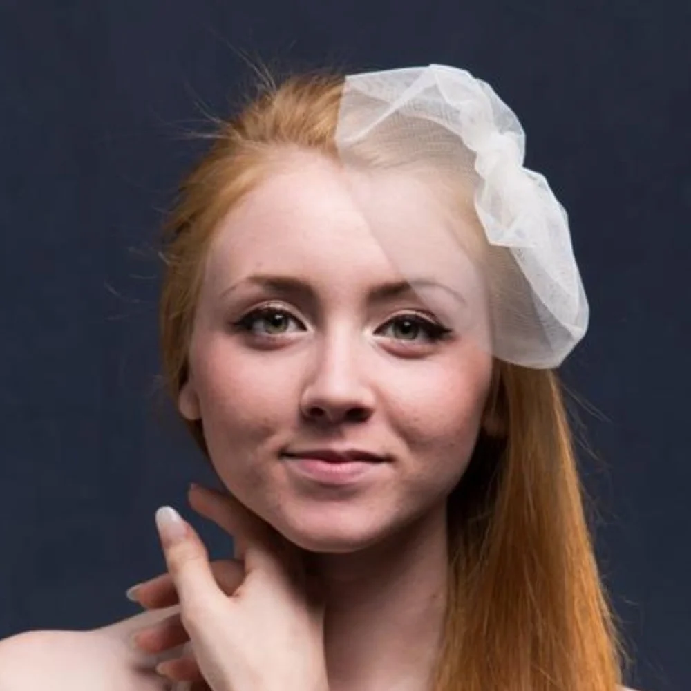 NWT Mini Birdcage Wedding Veil White Ivory bride
